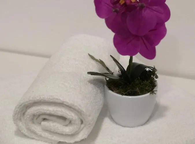 App Aleksa 6168 شقة